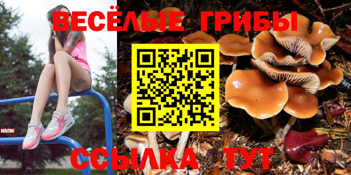 Псилоцибиновые грибы мухоморы  Псилоцибиновые грибы Cubensis  Златоуст  наркота  Вход с VPN 